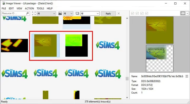 The two images described outlined in red in Image Viewer
